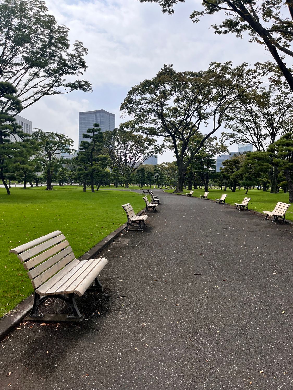 Tokyo Path Tranquil Pathway in Tokyo's Urban Park · Free Stock Photo