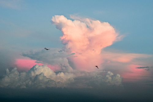 Free White clouds Pink sky Stock Photo