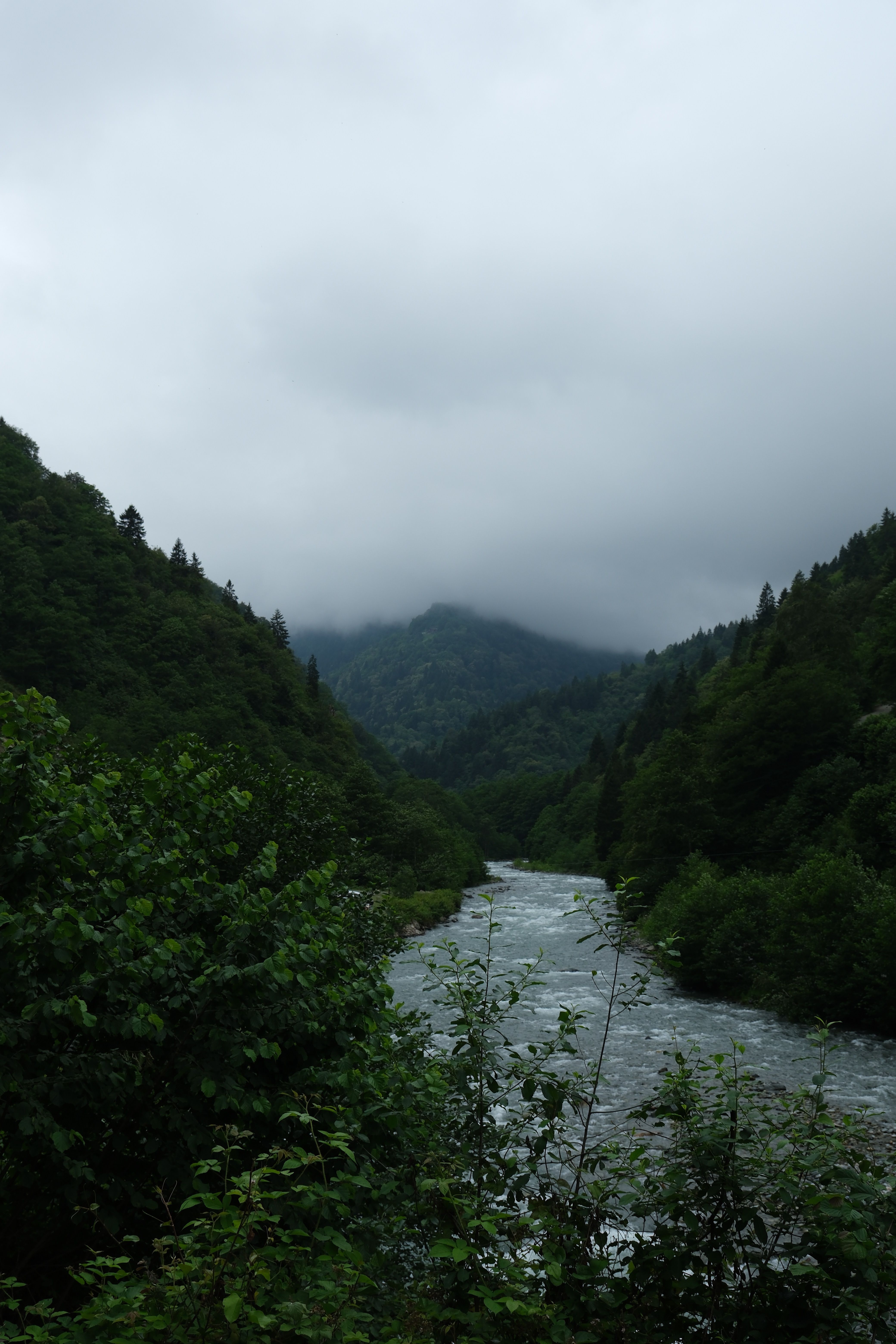 Serene view of a misty mountain river flowing through lush, dense forest.
