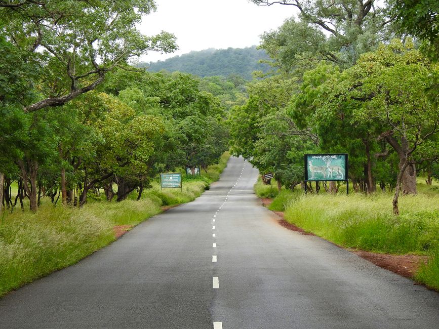 Karnataka Forest Recruitment