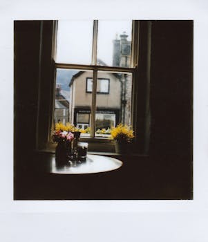 A charming view from a window showcasing flowers and an inviting street scene.