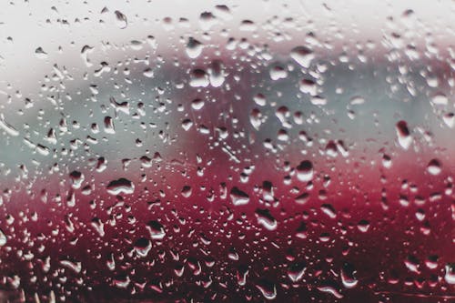 Close-Up Photo of Rain Droplets