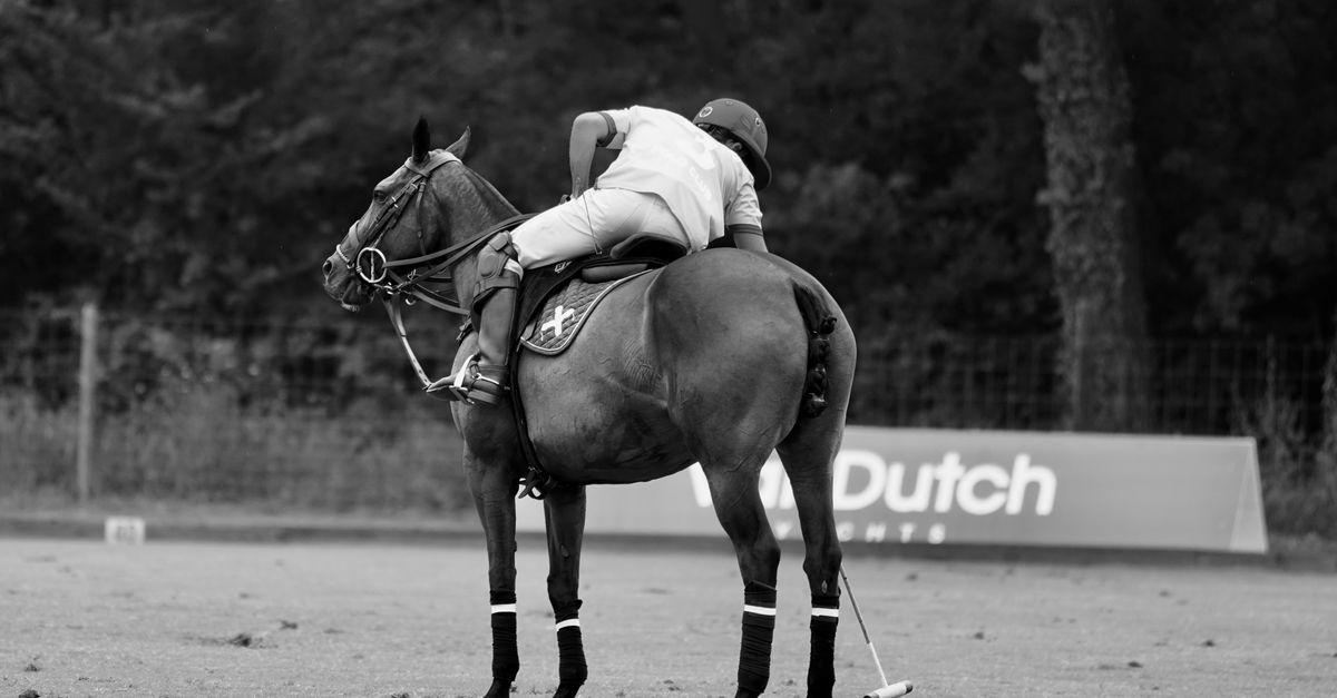 Dynamic black and white image of a polo player on horseback preparing for a match.