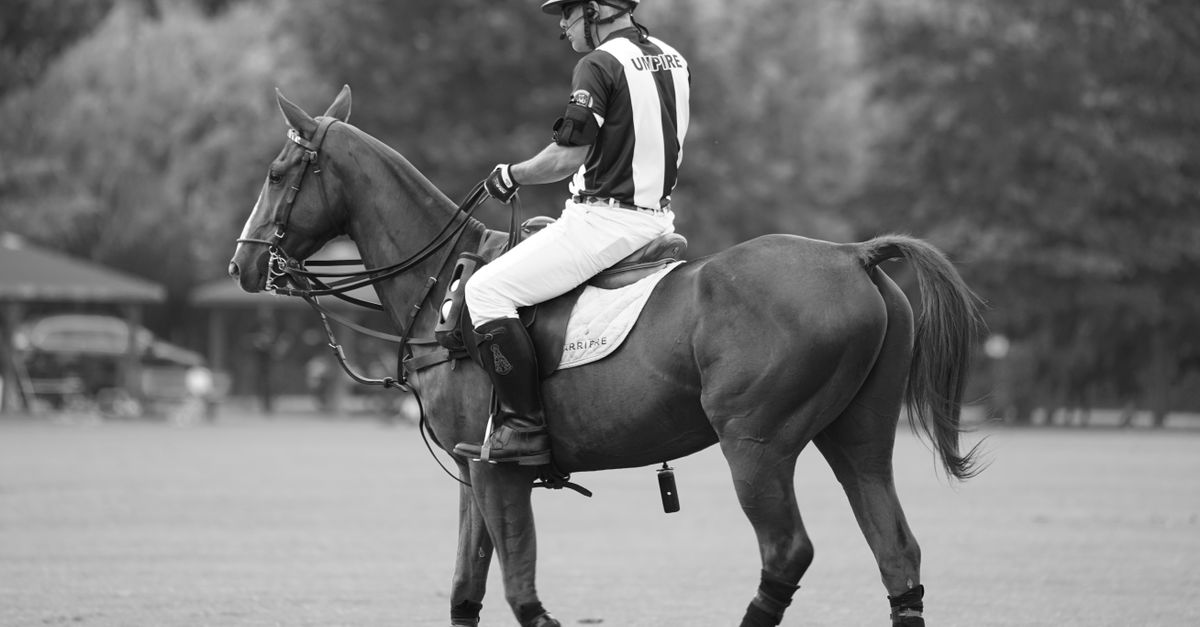 Tradiciones deportivas que han sobrevivido siglos y siguen vigentes hoy Tradiciones deportivas que han sobrevivido siglos y siguen vigentes hoy