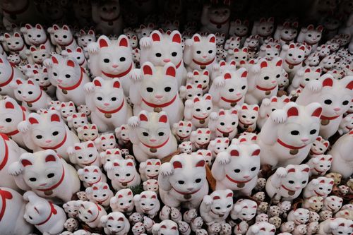 Free A large collection of Maneki-neko figurines with paws raised for good luck. Stock Photo