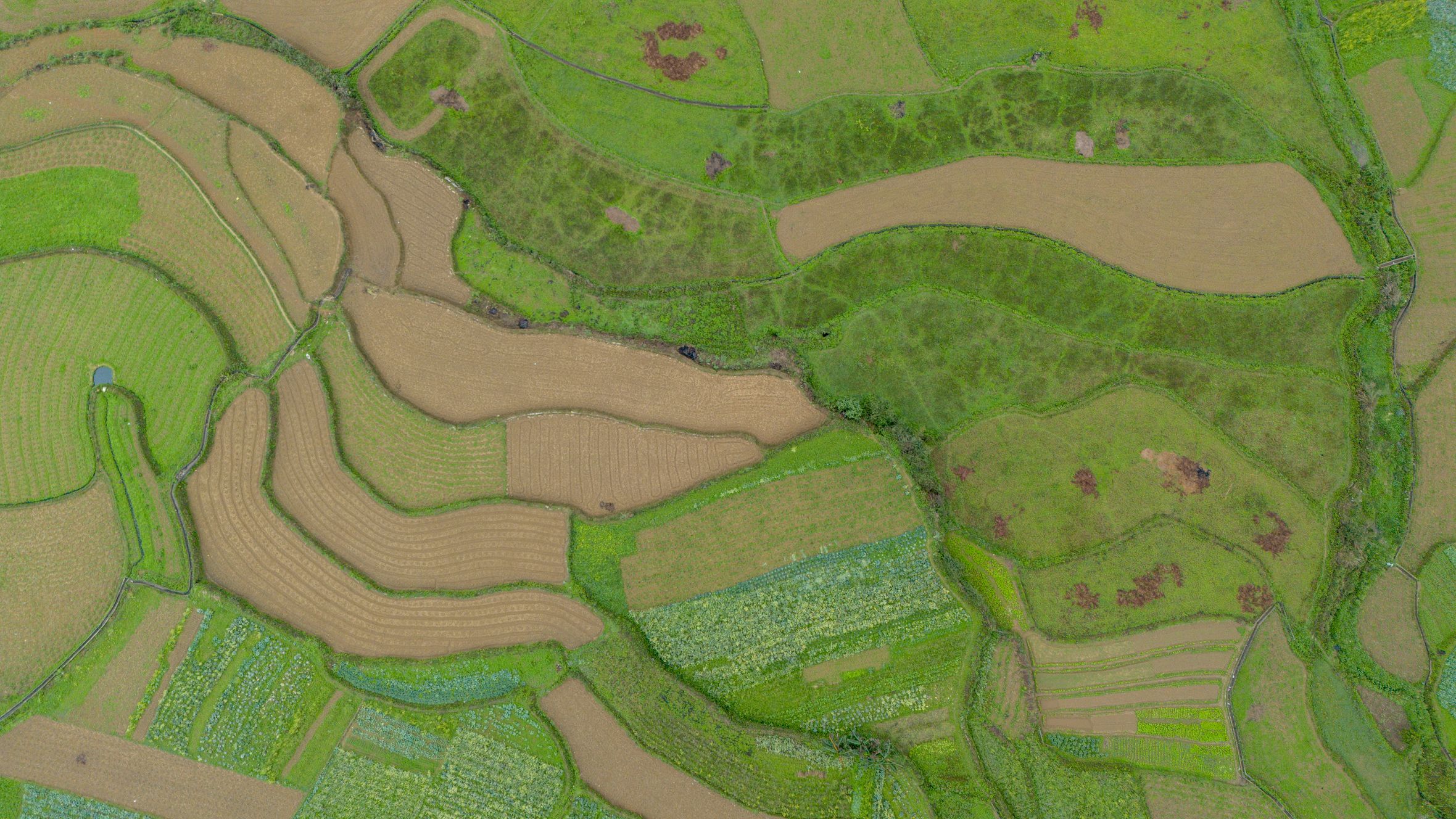 Discover the lush, green terraced rice fields of Ha Giang, captured from above, with rich patterns and textures.