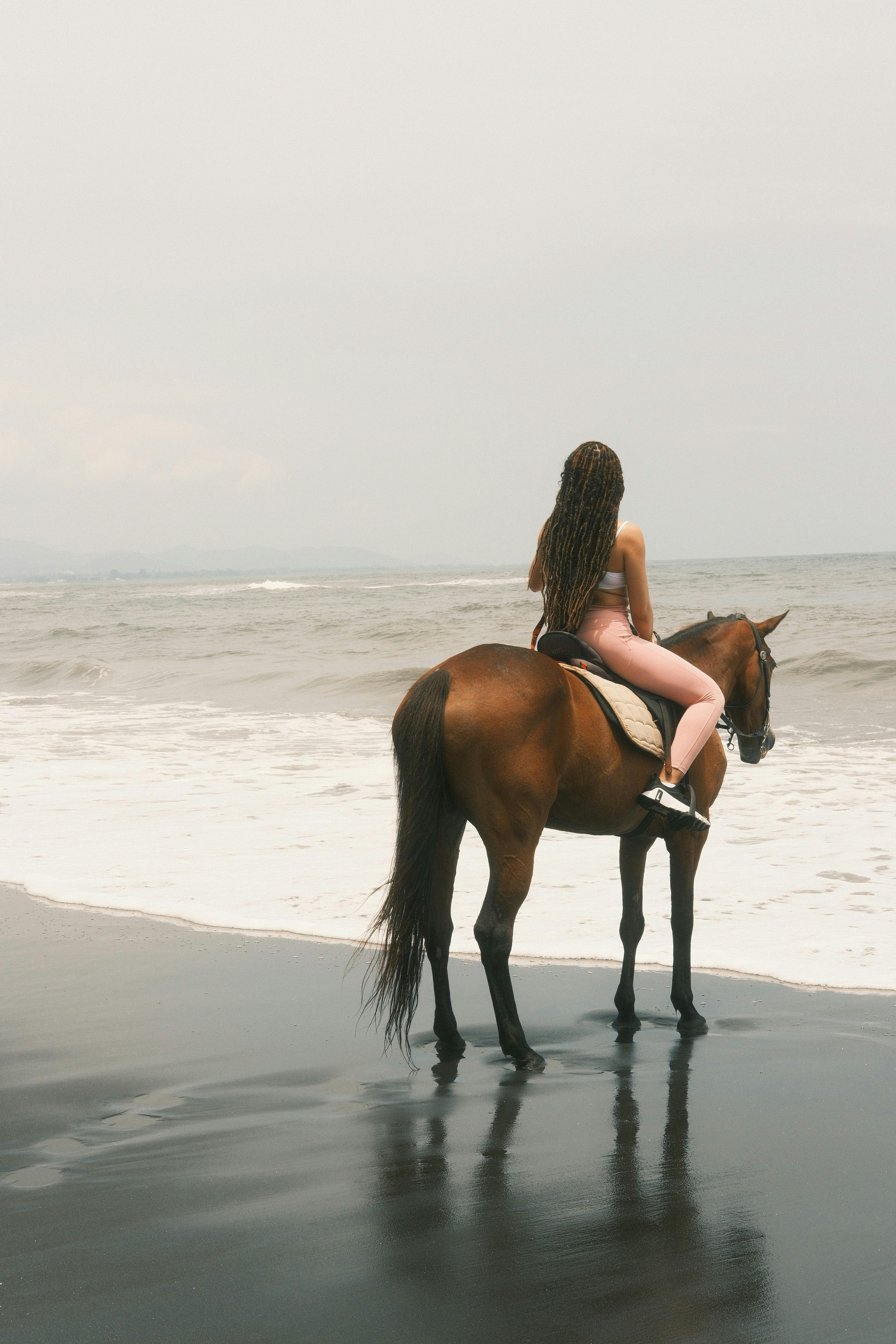 A woman rides a horse on a serene beach, with waves lapping at the shore.