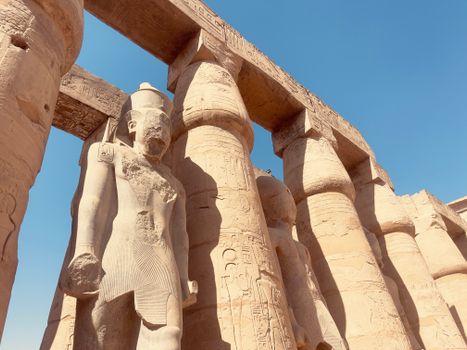 Karnak Temple with Egyptologist — Luxor