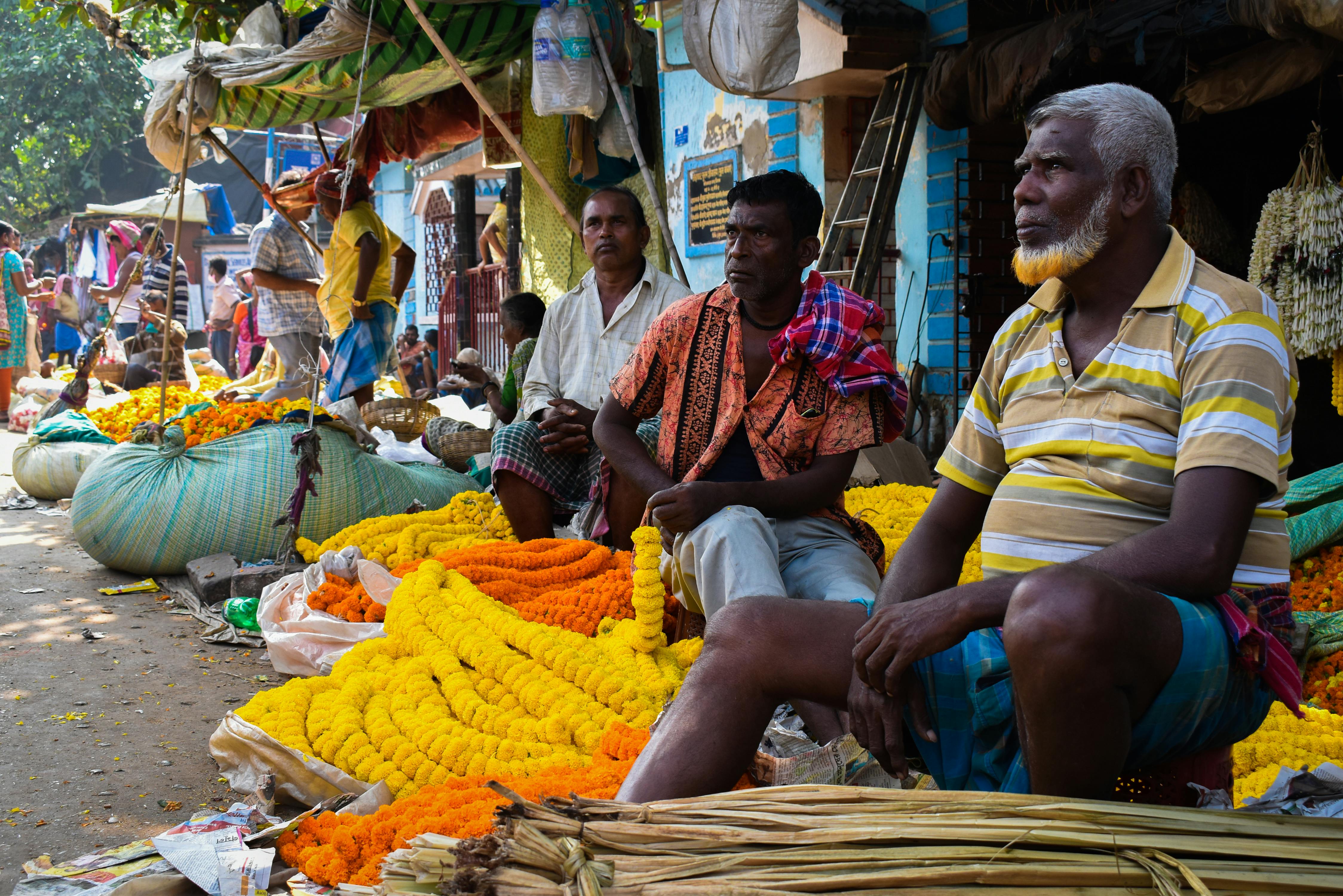 Kolkata on a Budget — How to Visit Without Breaking the Bank