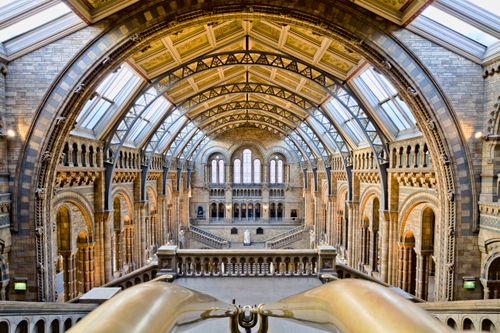 Free Stunning architectural design of the Natural History Museum in London, England. Stock Photo