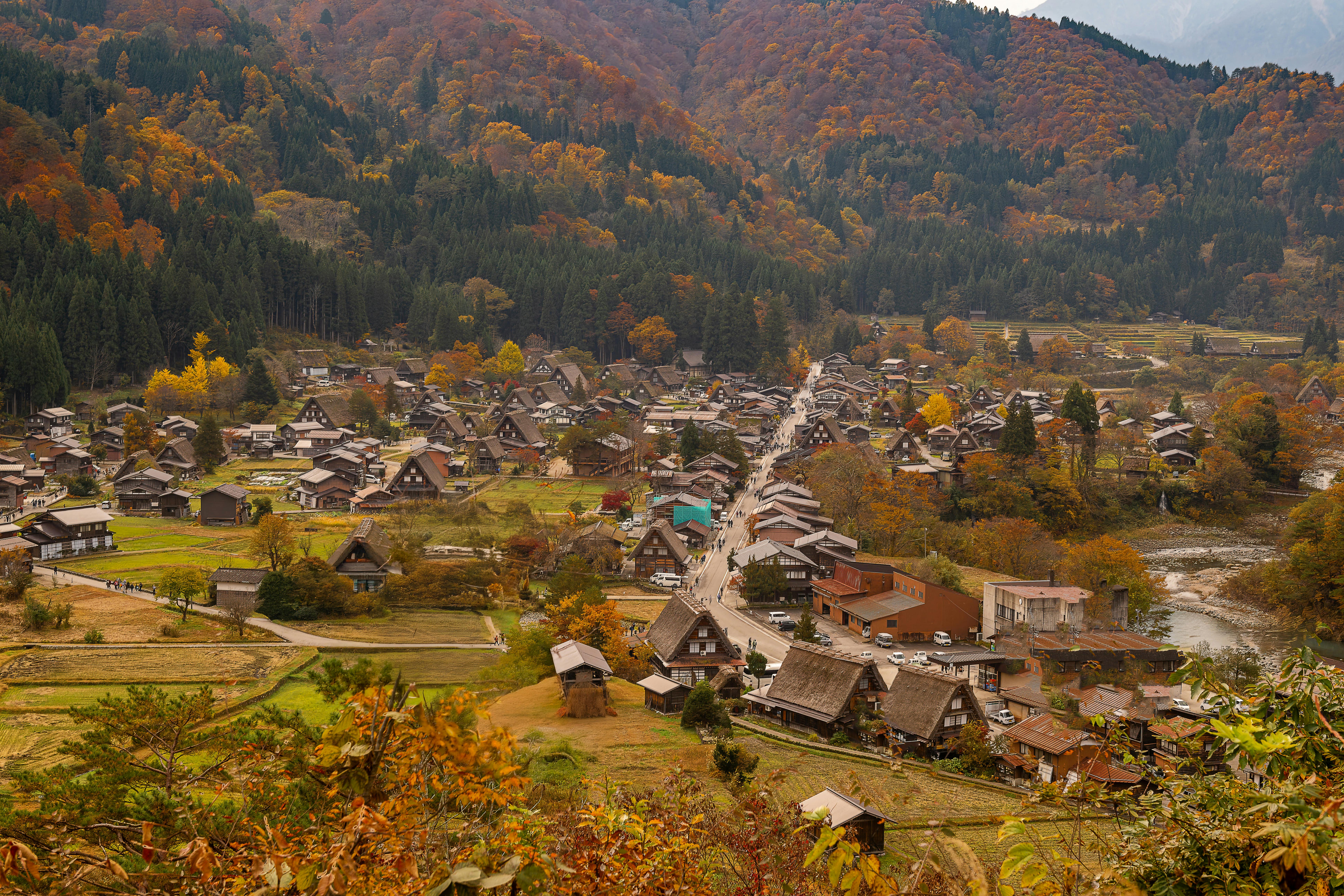 Omah Jawa Sebagai Warisan Budaya yang Harus Dilestarikan