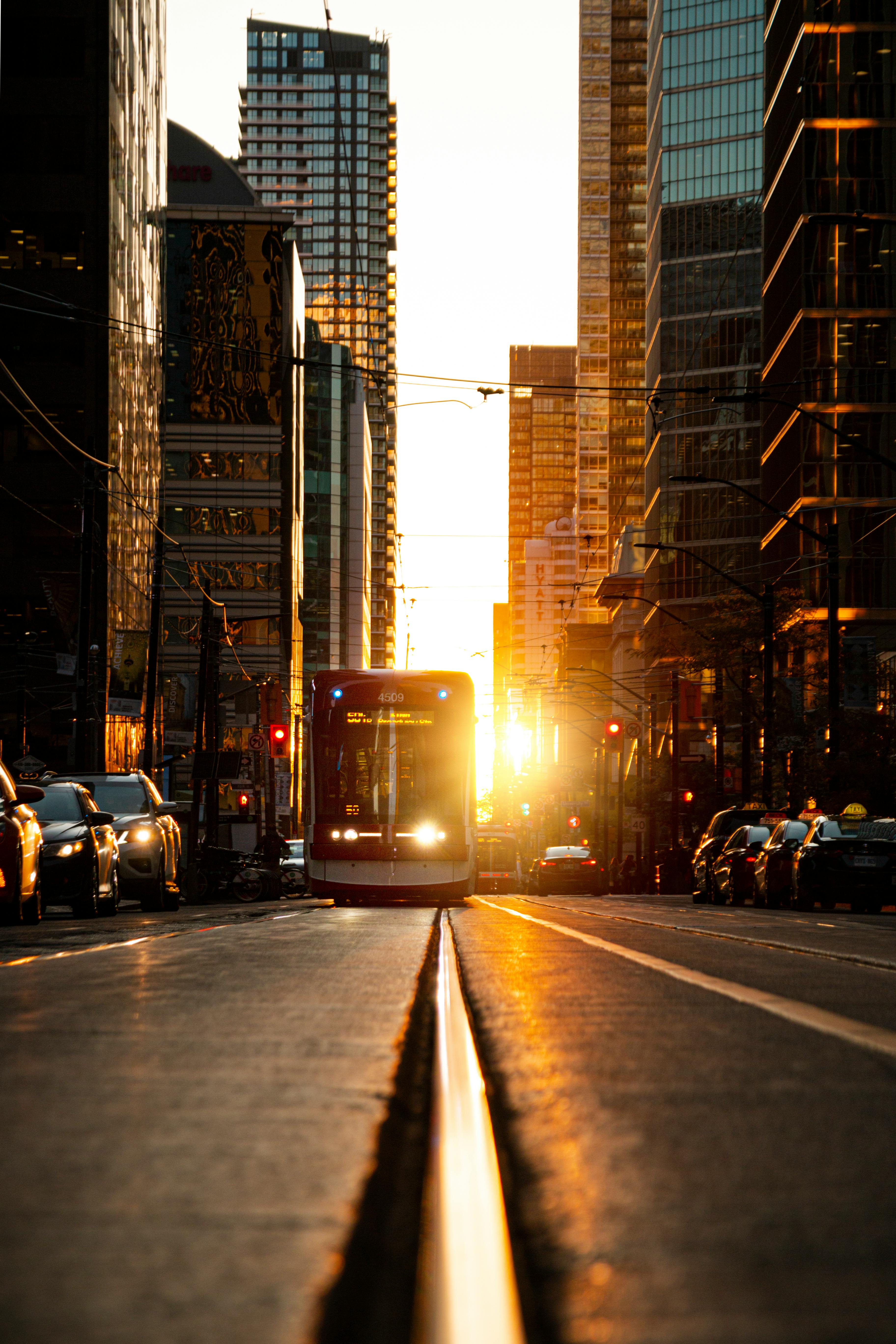 grey and white bus during golden hour