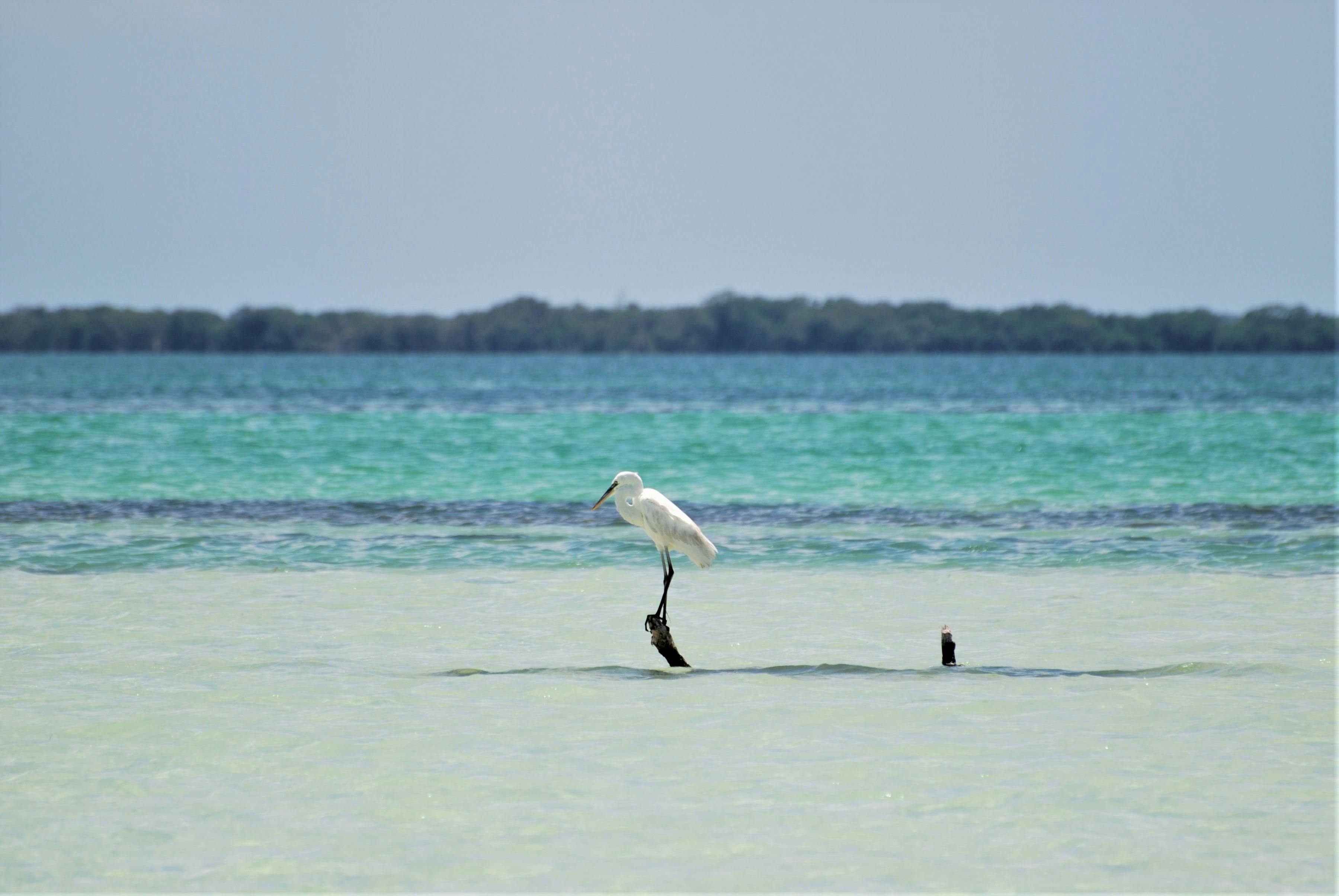 Photo of Isla Holbox