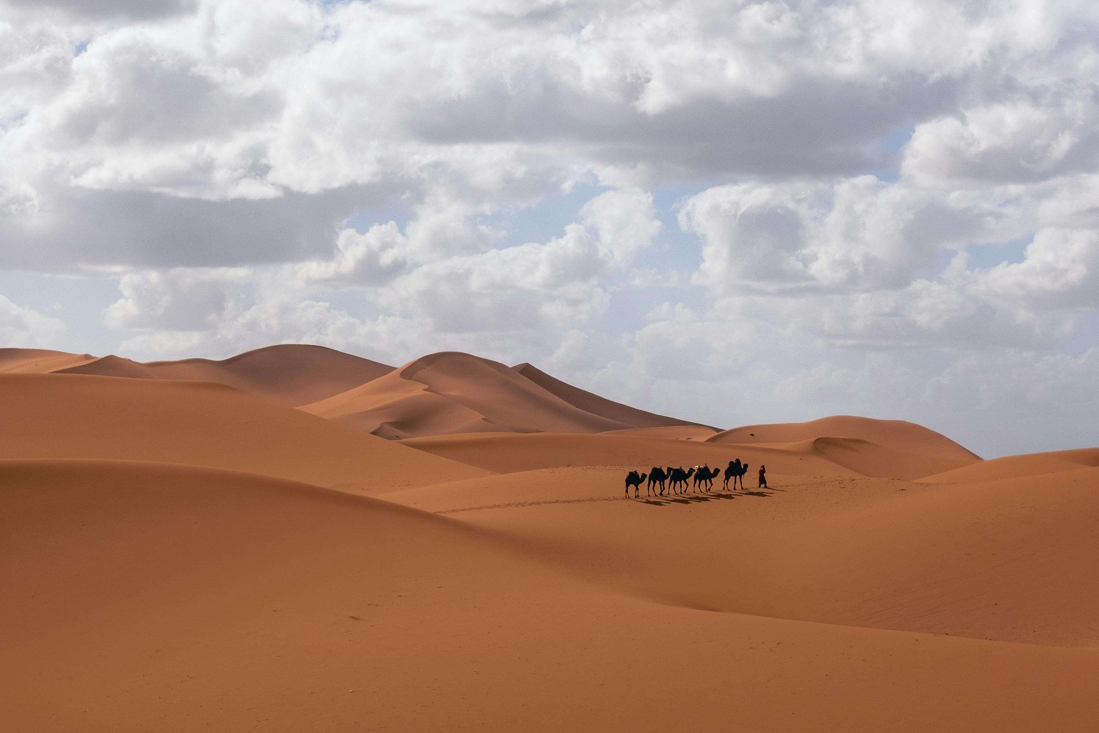 نظام العمل في السعودية