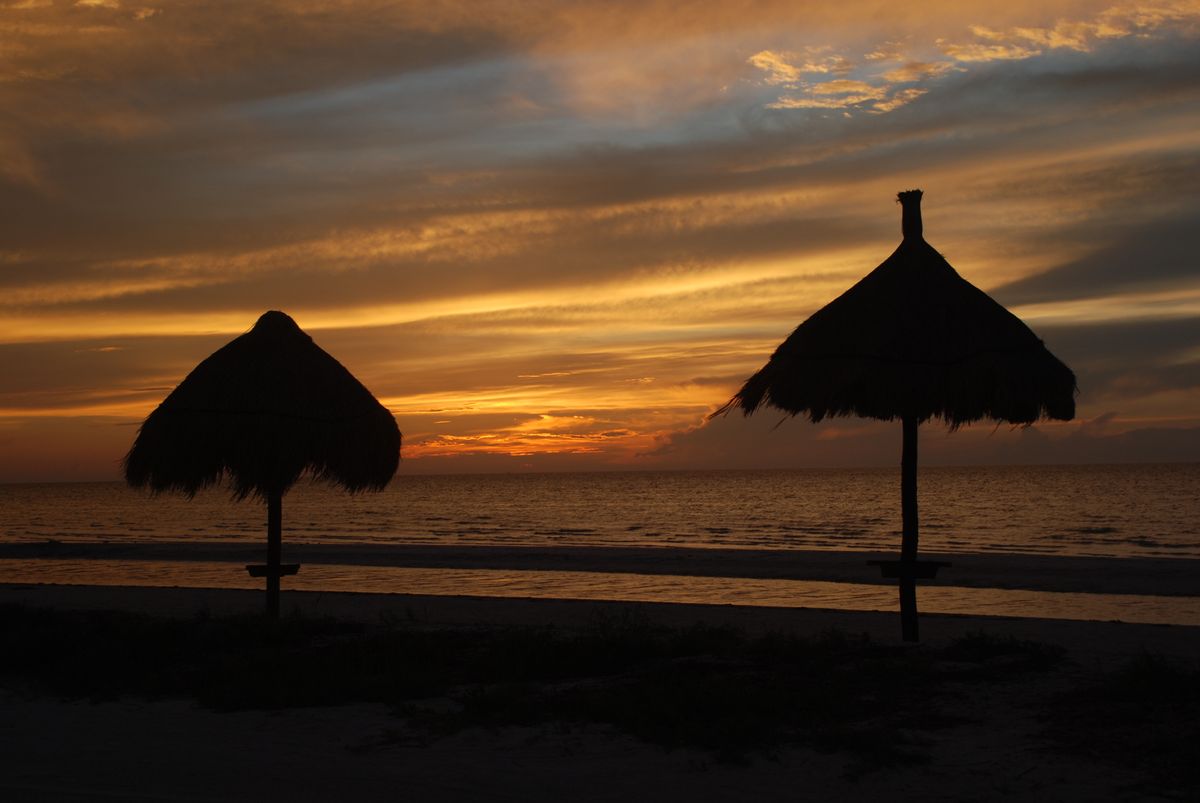 Atardecer en playa tropical mexicana con cielo anaranjado y palmeras en silueta