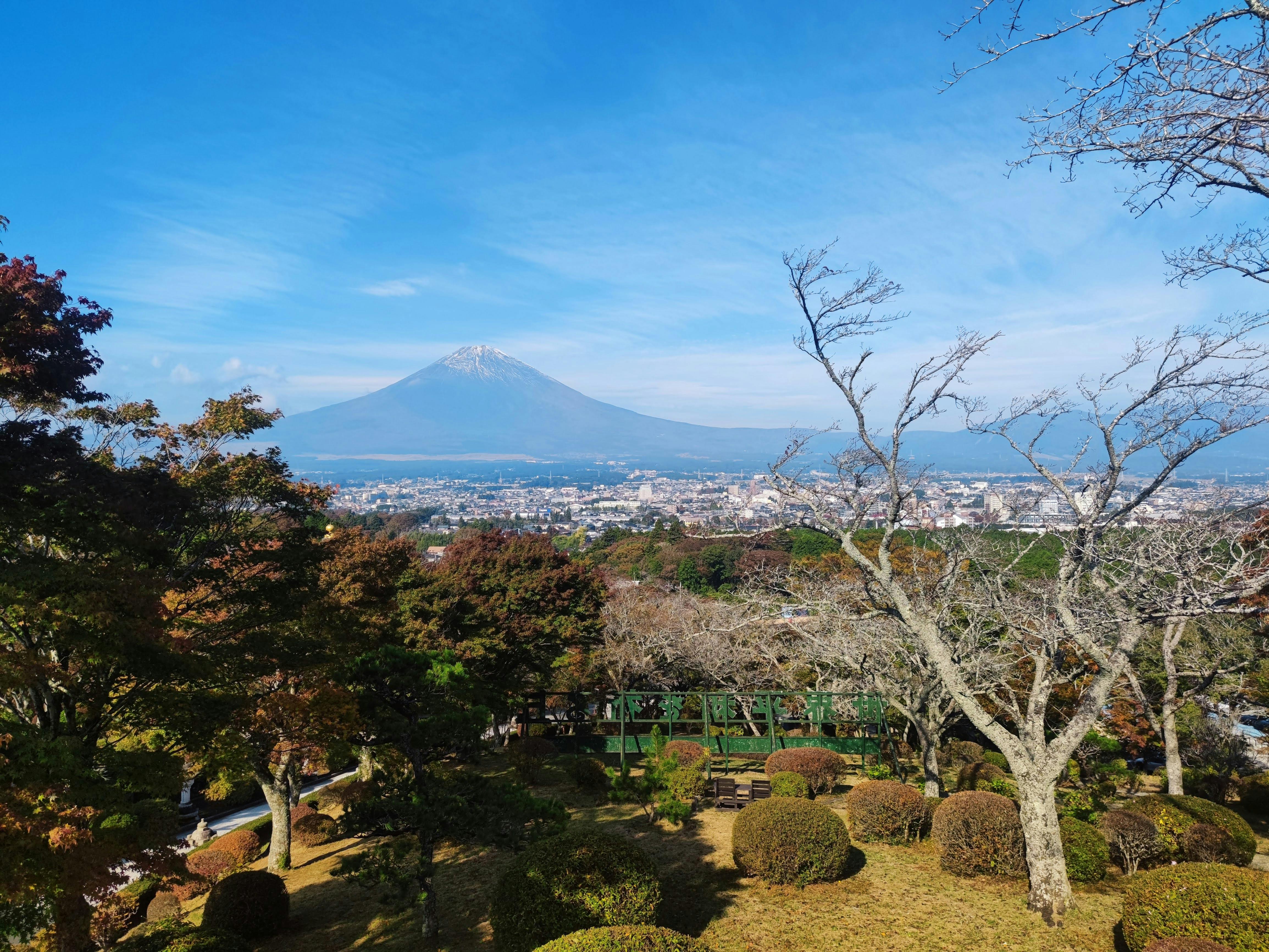 Breathtaking view of Mount Fuji framed by autumn foliage on a clear day.