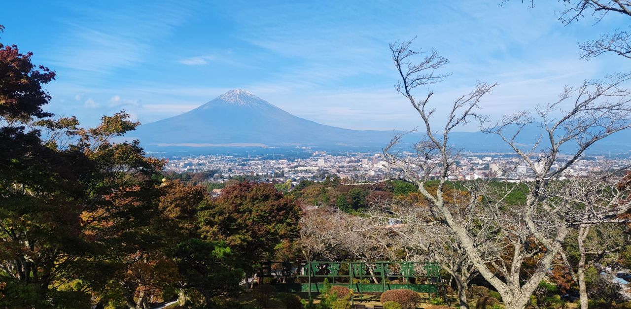 Prefettura di Shizuoka