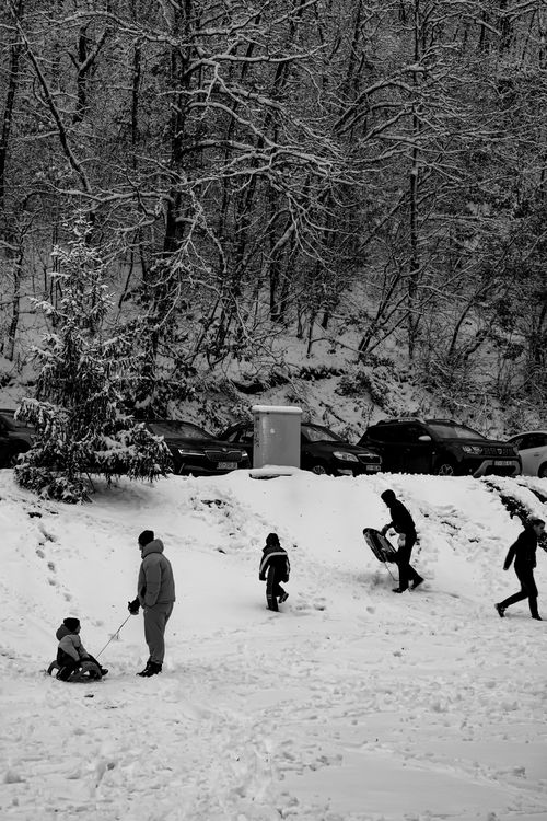 Free Children enjoying winter activities in snowy Pristina, Kosovo. Perfect for travel photography. Stock Photo