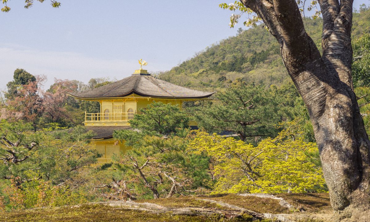 Kyoto
