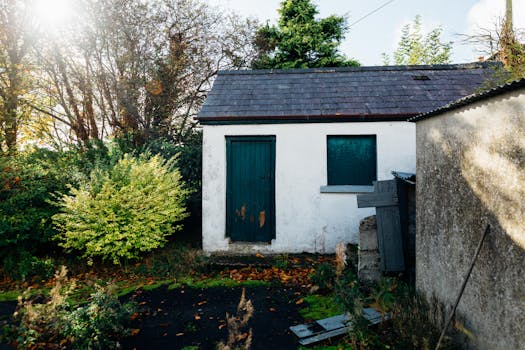 A quaint countryside shed basking in warm sunlight, surrounded by lush greenery and autumn leaves.