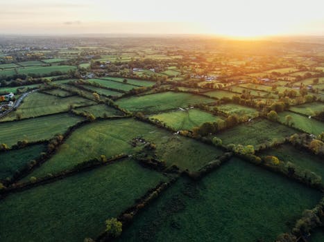 Stunning aerial view of lush countryside fields during a golden sunset, creating a serene atmosphere.