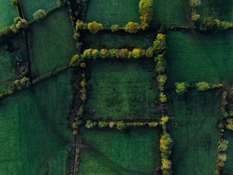 Stunning aerial shot of lush green fields creating a serene patchwork landscape.