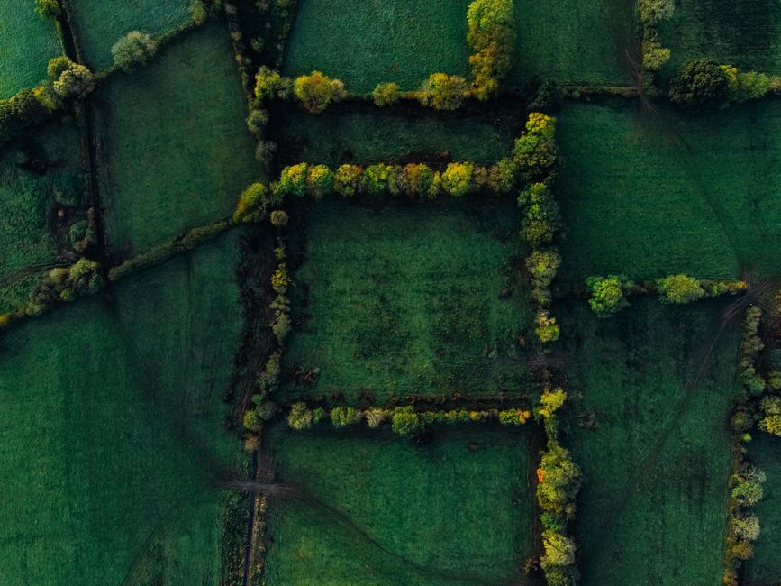 Stunning aerial shot of lush green fields creating a serene patchwork landscape.