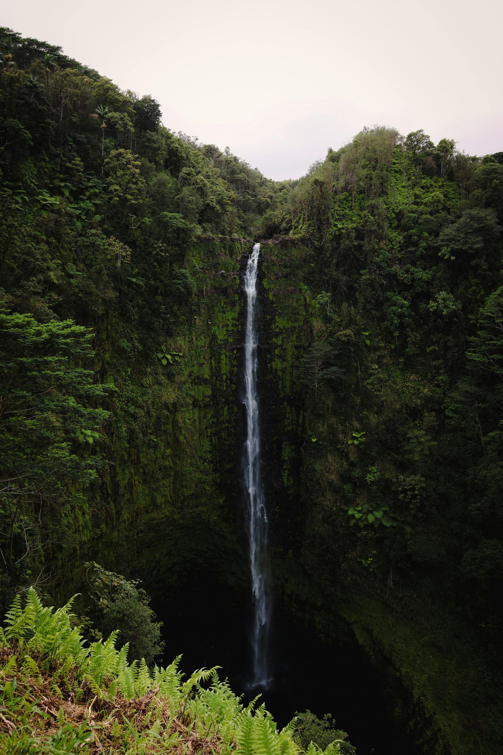 Naked+Hawaiian+Girl Photos, Download The BEST Free Naked+Hawaiian+Girl