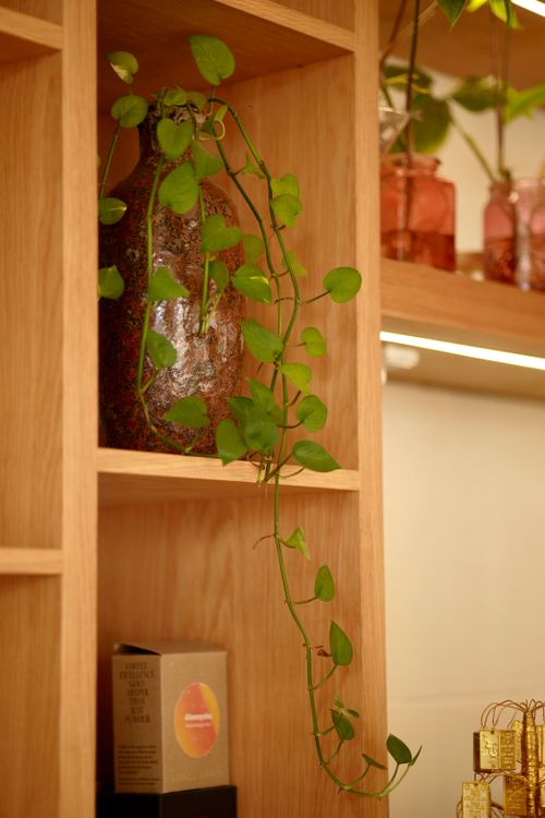 Open floating shelf styled with a plant and decor