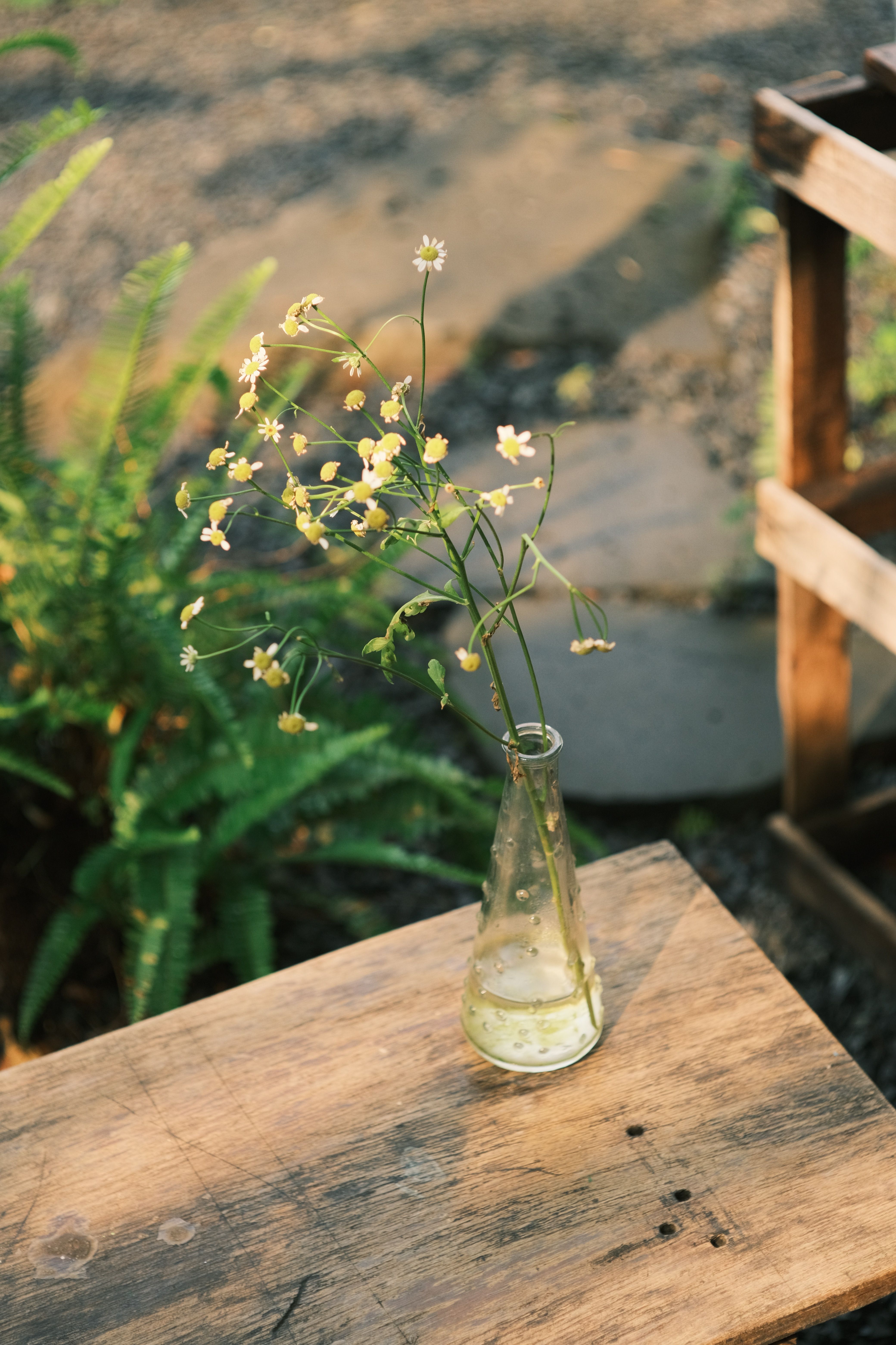 Petit bouquet de fleurs des champs dans un flacon de verre, sur une table en bois brut