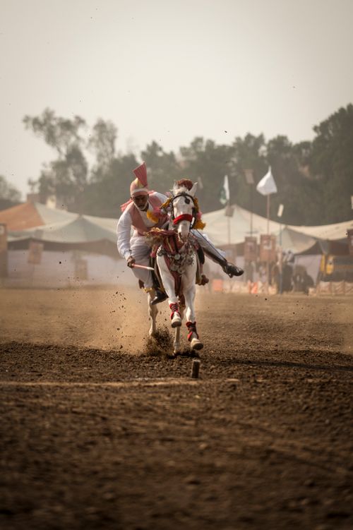 Free Horseman displays skill in traditional tent pegging sport during a cultural festival in Pakistan. Stock Photo