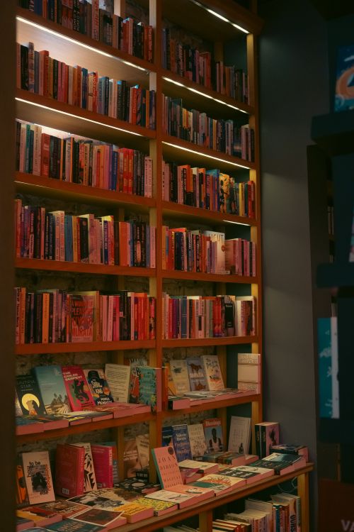 Free Warm-lit bookstore shelf filled with diverse books creating a cozy atmosphere. Stock Photo
