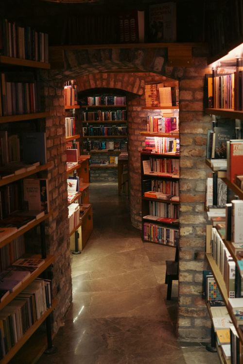 Free Inviting library nook with arched brick walls and wooden bookshelves filled with books. Stock Photo