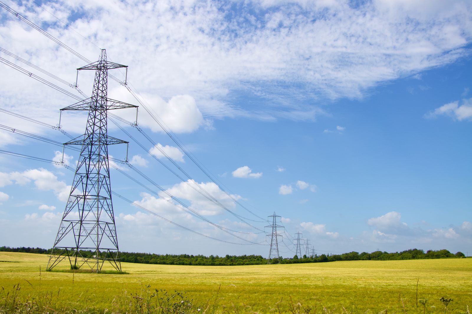 Electricity pylons crossing a field of crops under a summer sky