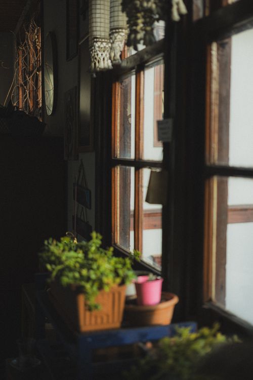 Free A serene indoor scene with sunlight streaming through a window onto houseplants. Stock Photo