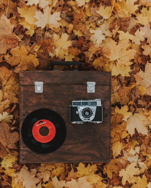 검은 비닐 레코드 및 Slr 카메라가있는 갈색 상자