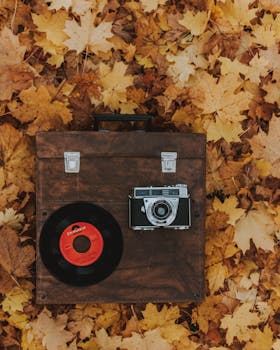 一个木箱上放着一台老式相机和黑胶唱片，周围散落着秋叶