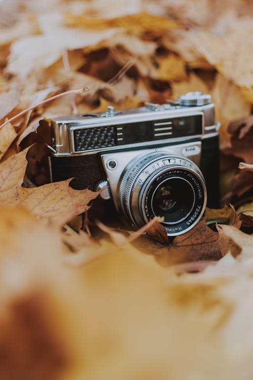 Foto De Uma Câmera Antiga Nas Folhas