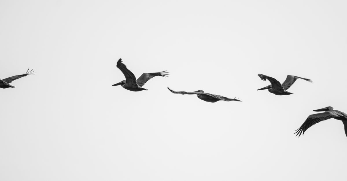 Migration SEO : pourquoi tant de plans de redirection échouent, le retour d’expérience de Julien Jimenez