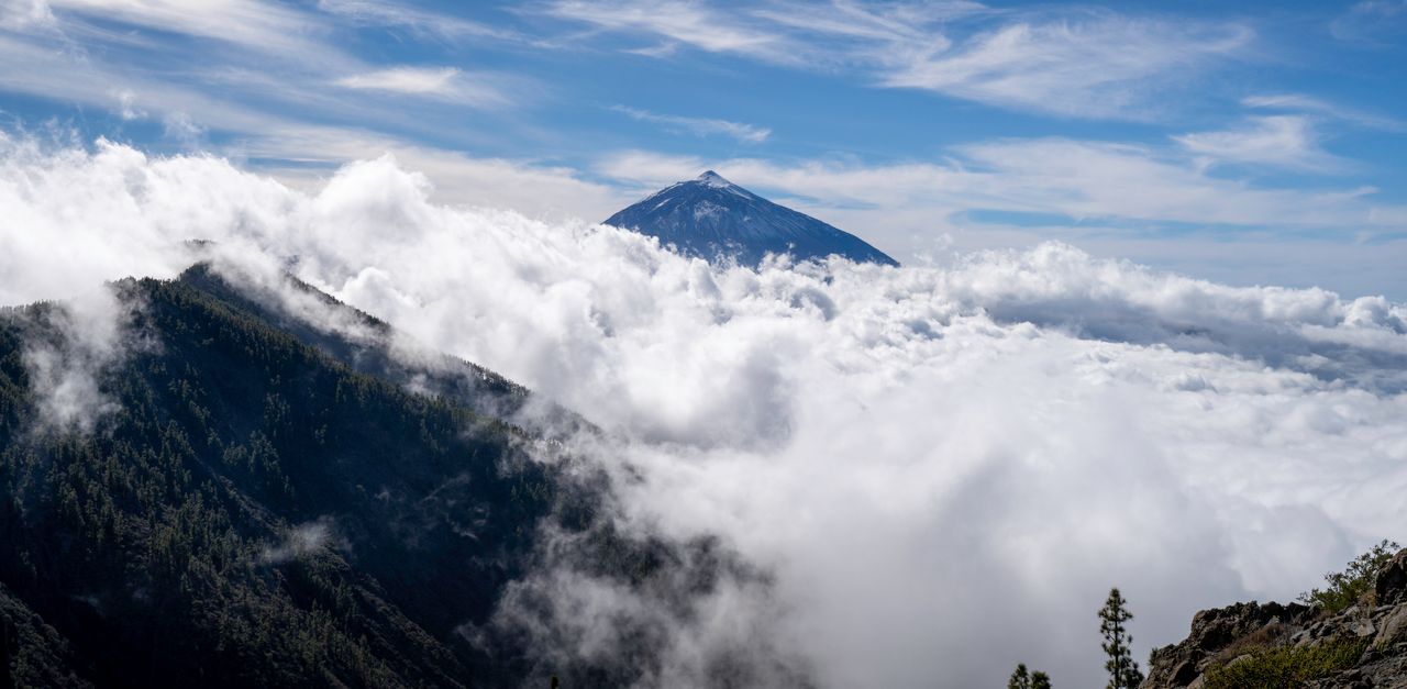 La Palma