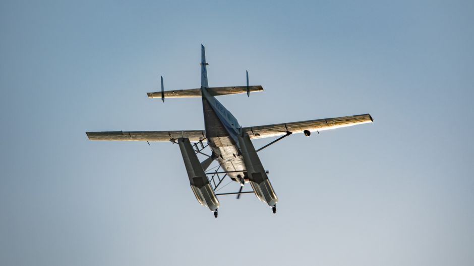 Tragic Plane Crash Claims Life in Germany