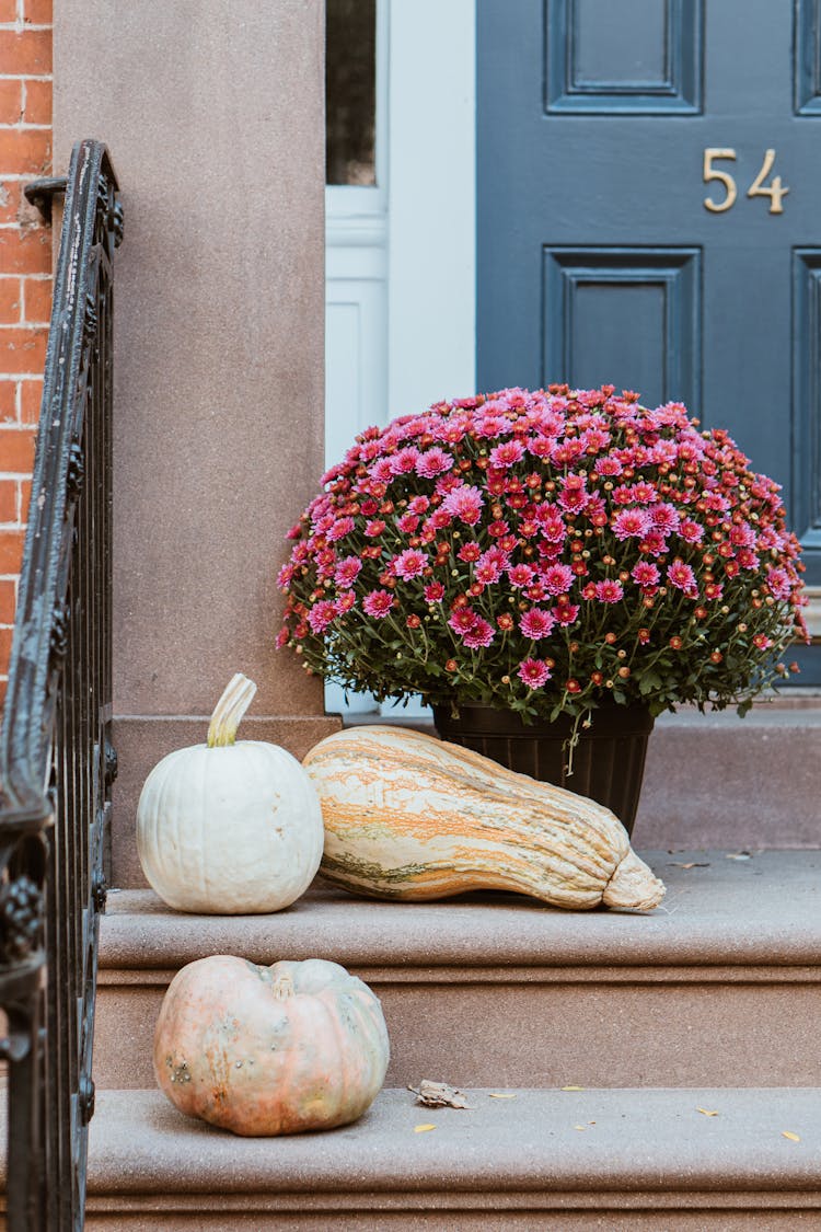 Photo Of Squash Near Flower Vase