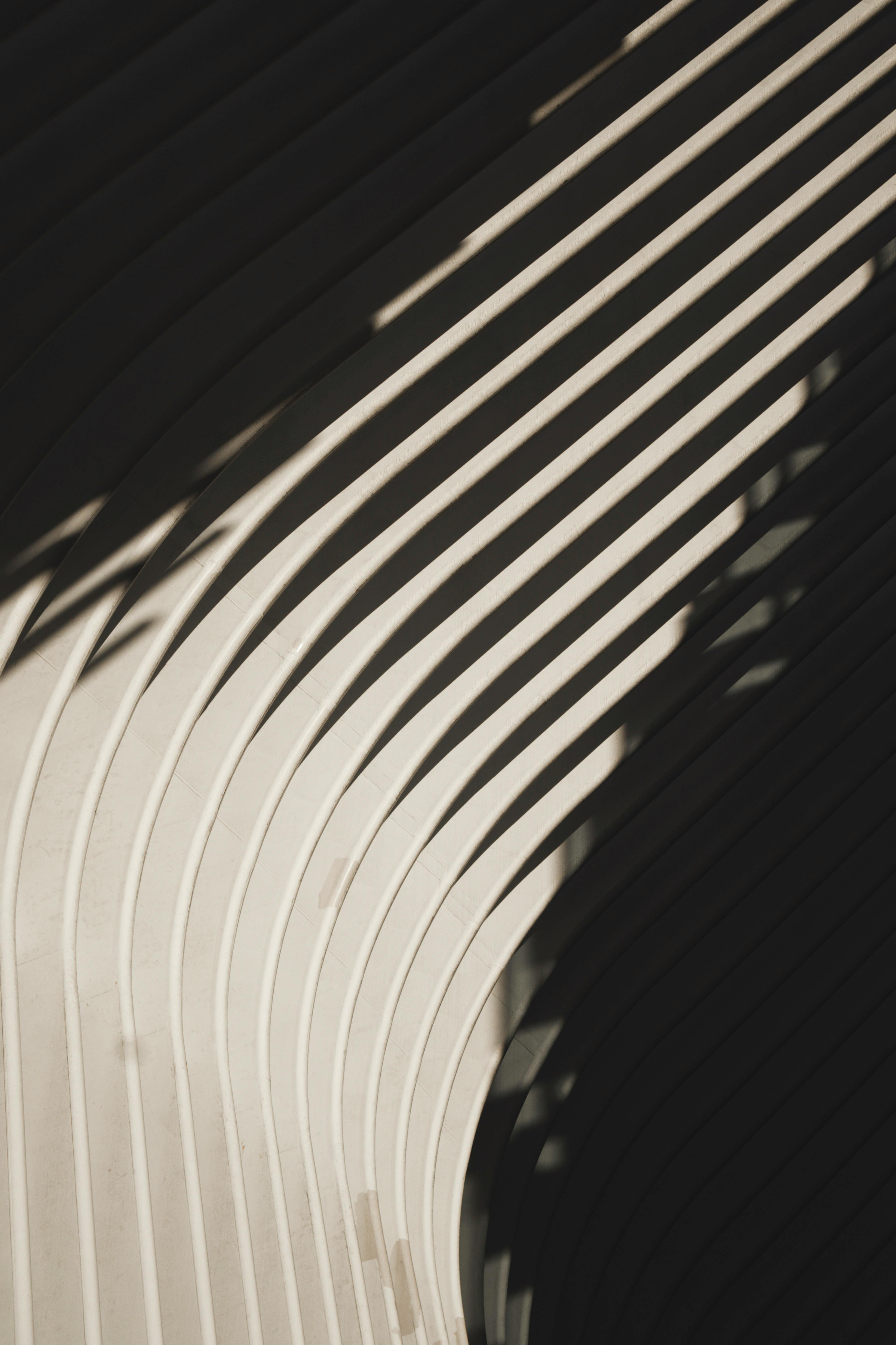 Abstract flowing line sketch element, artistic separator for visual break