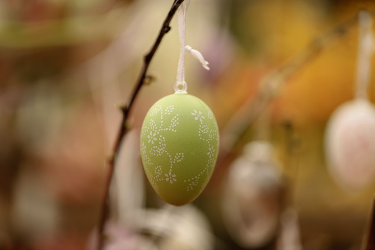 colorful easter egg hanging on a branch perfect for spring decoration