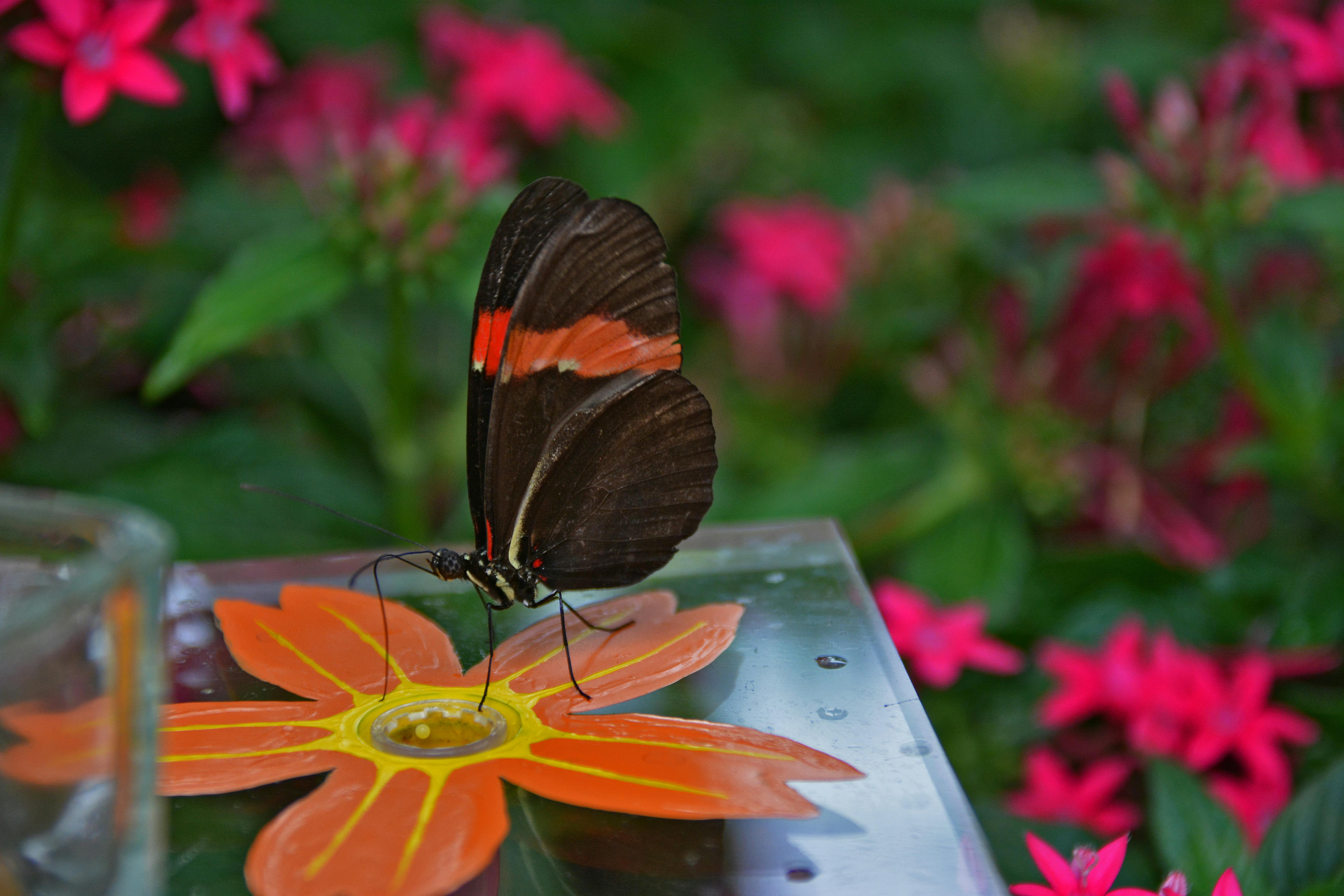 Close-up of a butterfly resting on a decorative artificial flower amidst vibrant green foliage and p