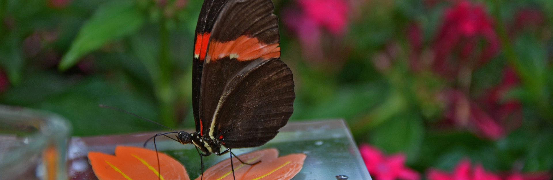 Close-up of a butterfly resting on a decorative artificial flower amidst vibrant green foliage and p