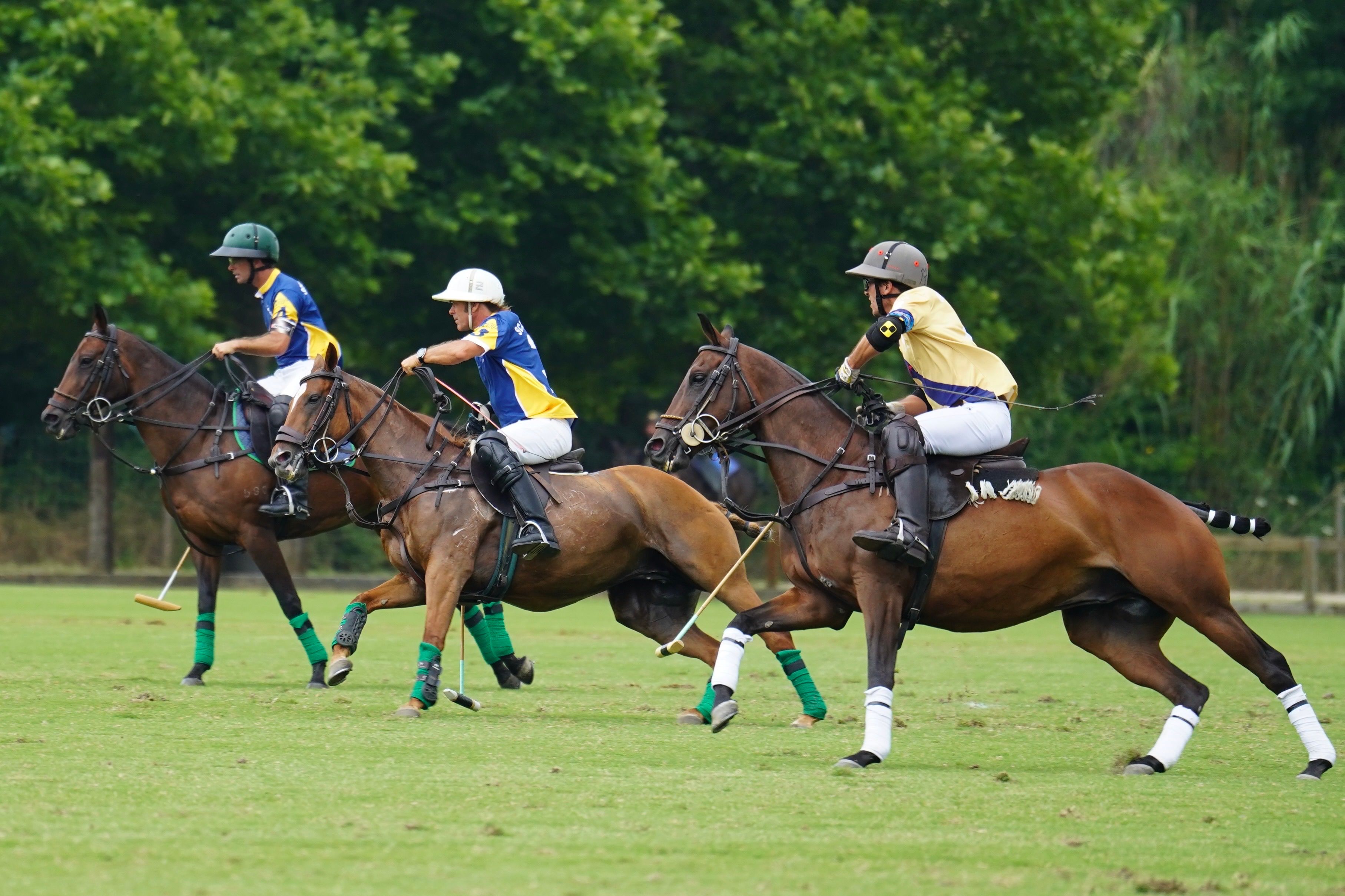 Three polo players in action on a lush green field during a competitive match.