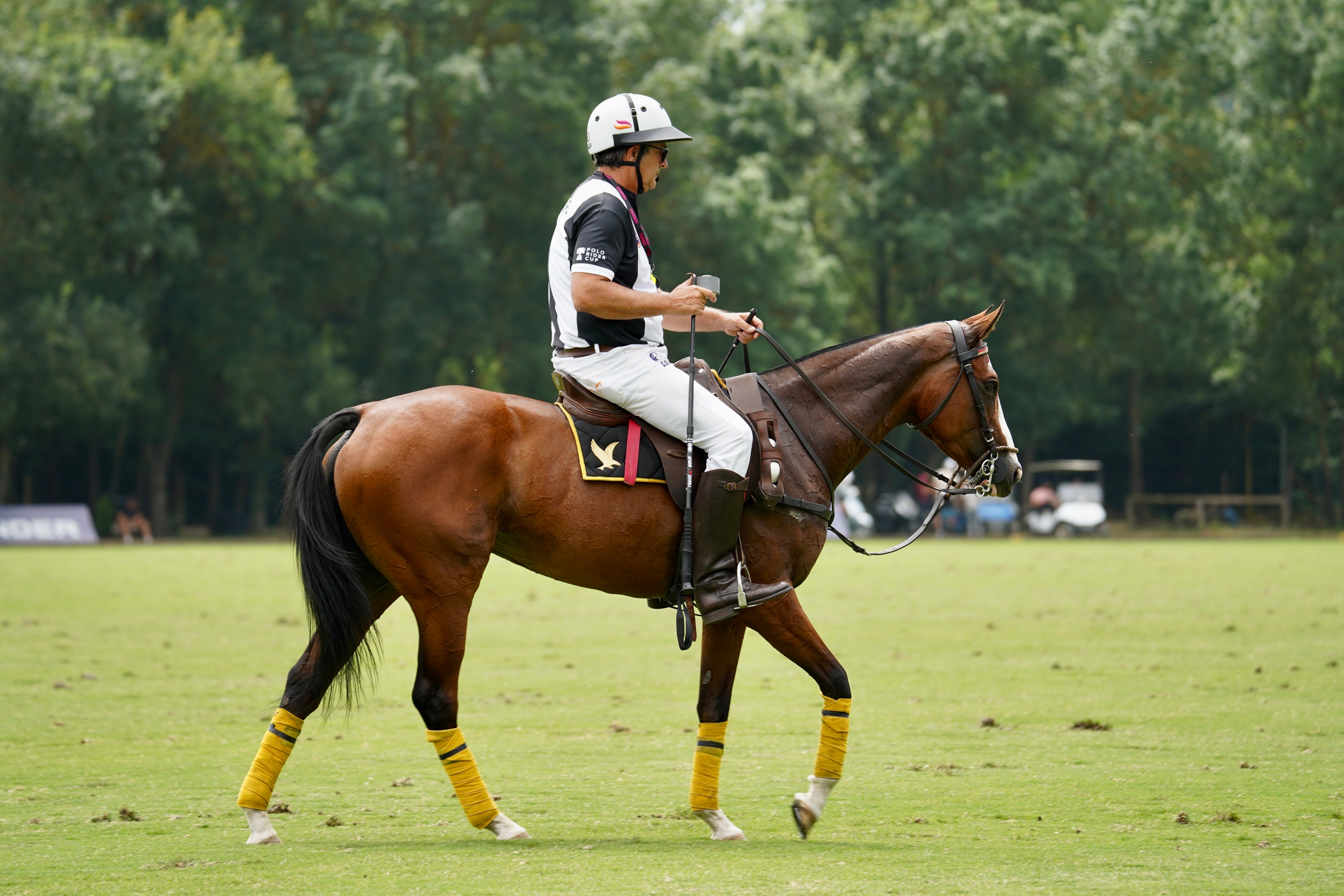Polo Player Riding Horse on Field · Free Stock Photo