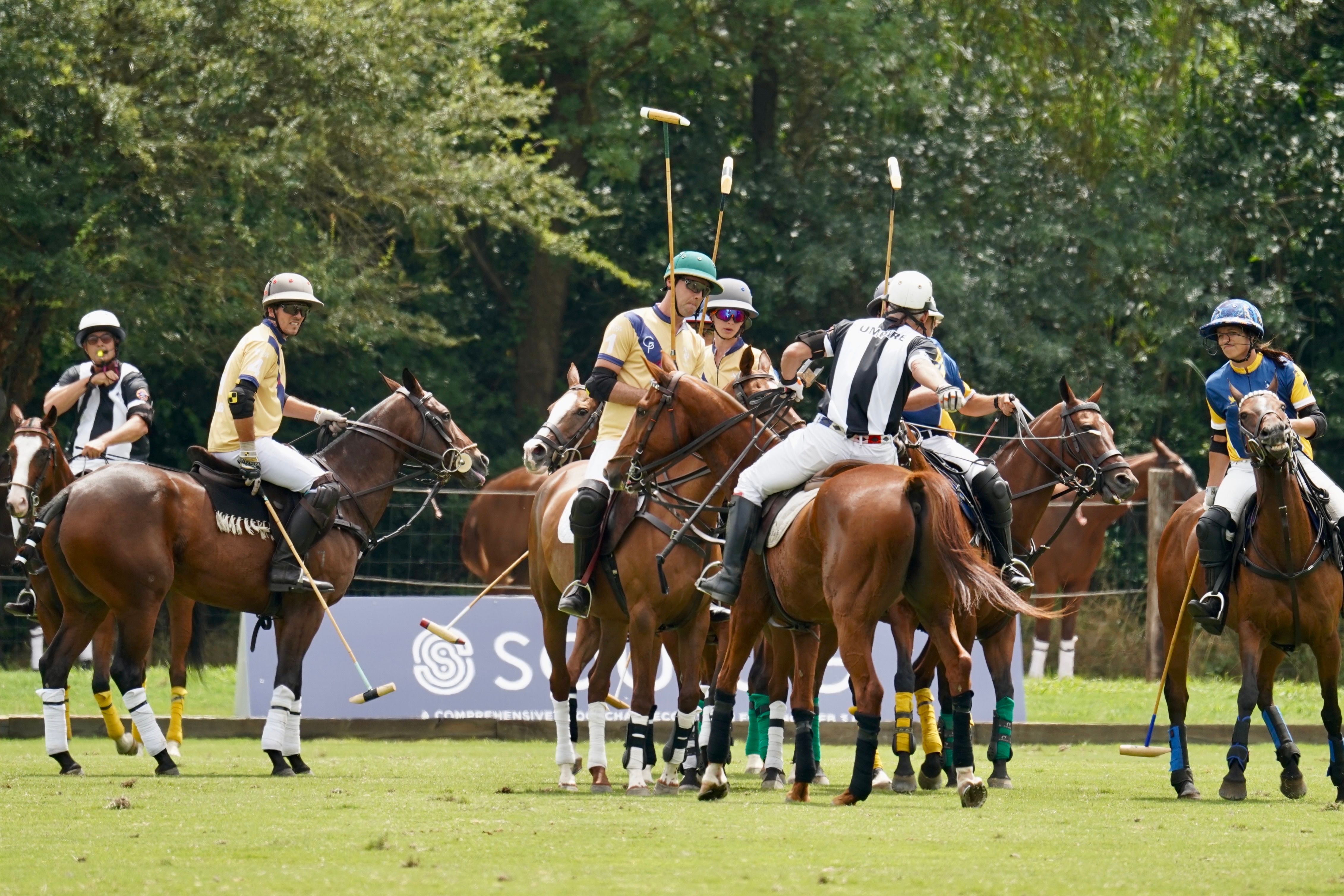 Dynamic image of a polo match with equestrian athletes on a sunny day.