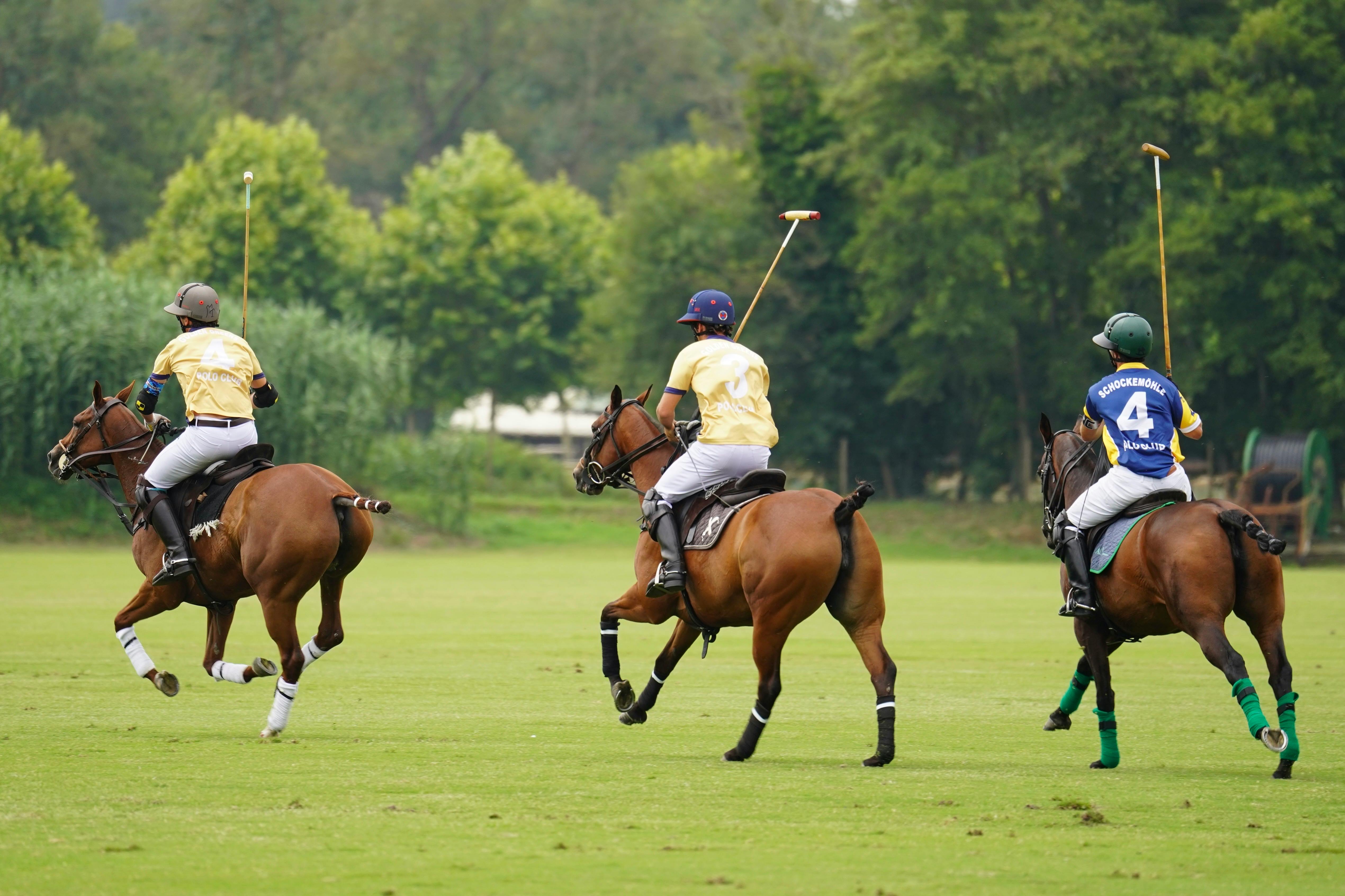 Three players on horseback engaged in a polo match amidst a vibrant green field and lush trees.